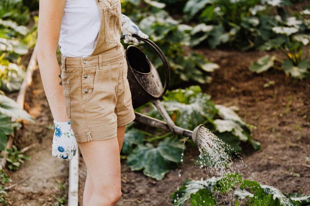 garden watering can