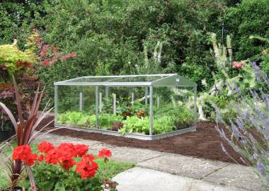 What are the differences between cold frames and greenhouses?