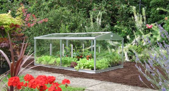 What are the differences between cold frames and greenhouses?