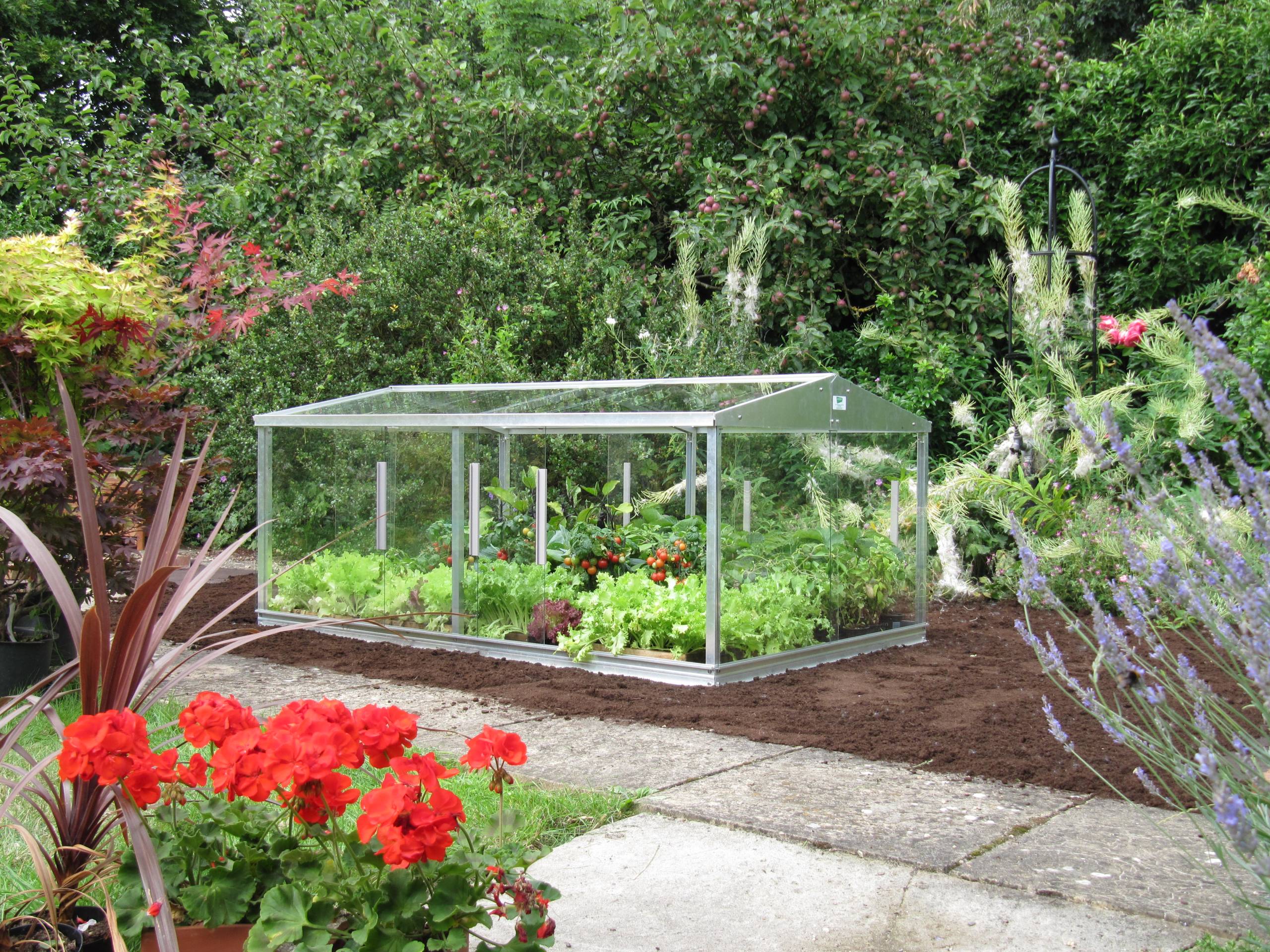 What Are The Differences Between Cold Frames & Greenhouses?