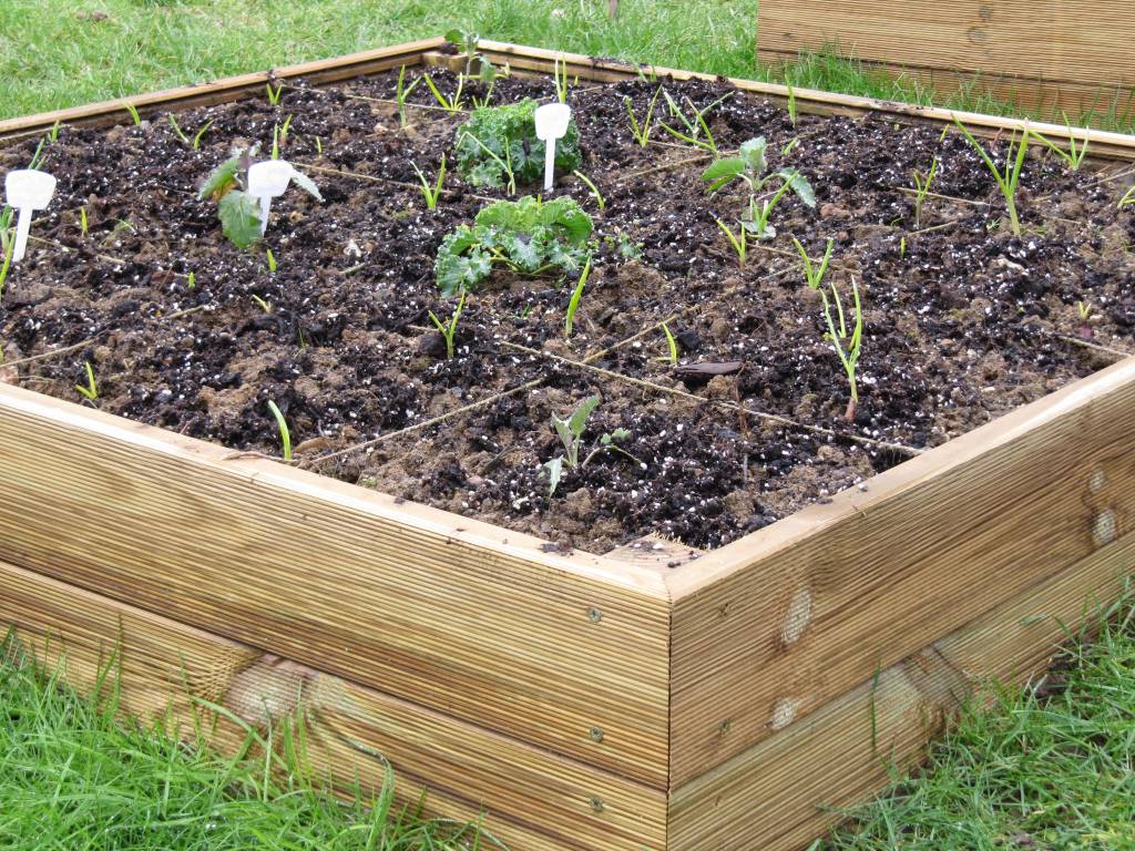 Raised bed
