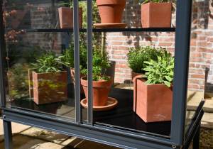 Winter Plate for Herb House