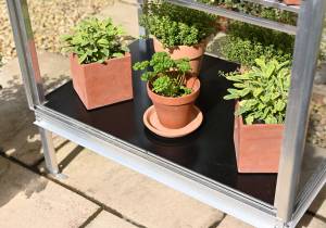 Winter Plate for Westminster