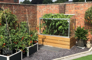 Half Growhouse with timber raised beds