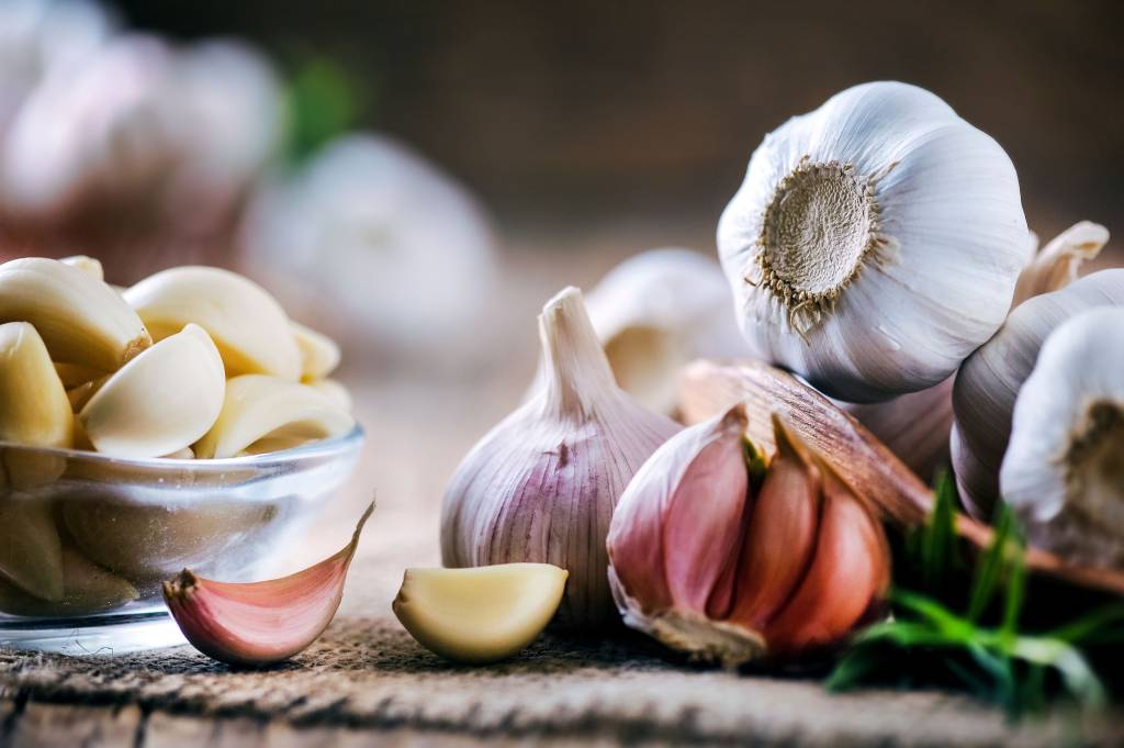 Garlic Bulb Stress Ball