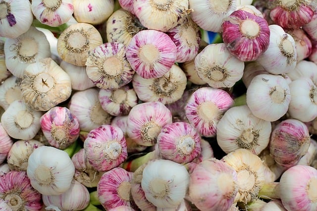 garlic bulbs