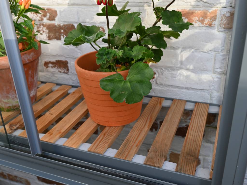 Westminster Wall Mounted Greenhouse | Access Garden Products