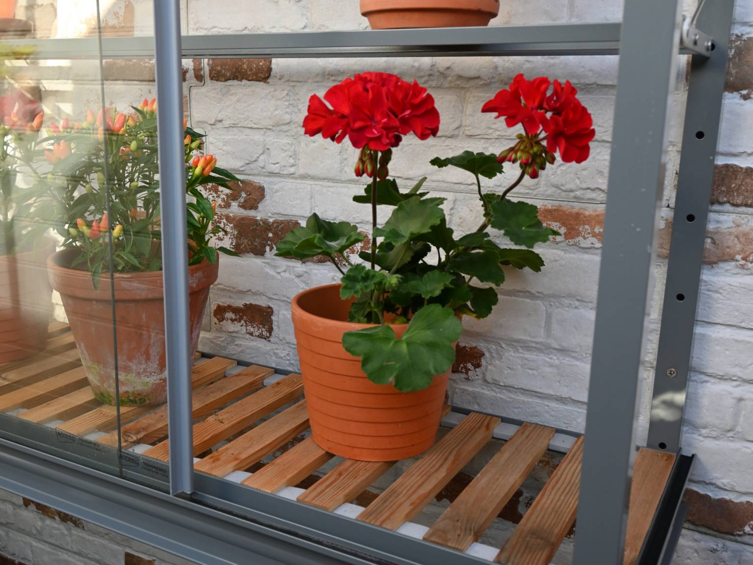Westminster Wall Mounted Greenhouse | Access Garden Products