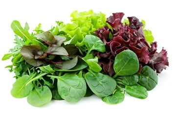 What to Grow in a Greenhouse in June