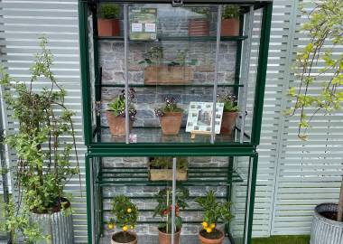 Powder Coated Hampton 3′ 4″ lean to mini greenhouse with auto louvre