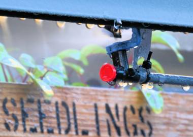 Mist watering for Herb House