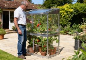 FBGT 4ft x 2ft Tomato House in garden