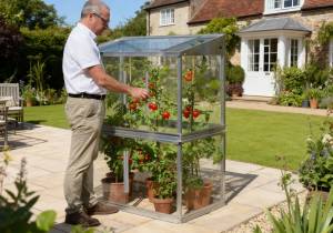 FBGT 4ft x 2ft Tomato House in garden