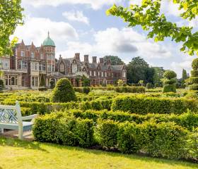 RHS Sandringham Flower Show