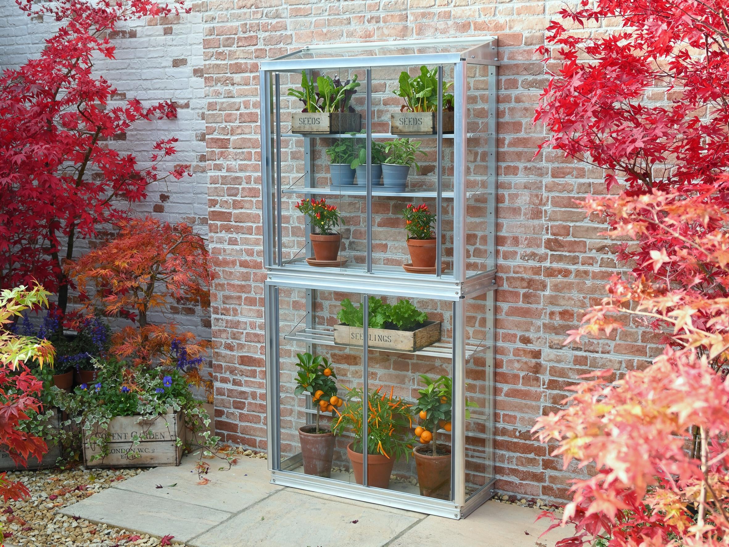 Westminster 2' 8" Small Greenhouse