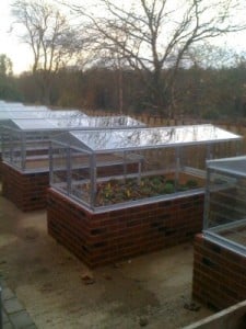 Alpine Frames at RHS Harlow Carr