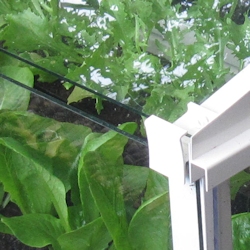 Trickle ventilation system for garden cloche