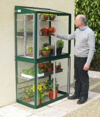 Mini greenhouse growing with an Access Mini greenhouse. Mini greenhouse against a wall
