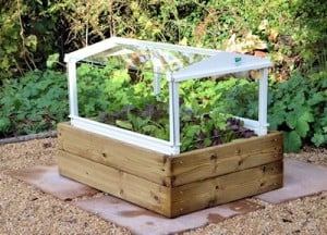 Access herb and salad cloche with timber base