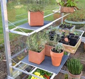 Growhouse shelves are adjustable and removable